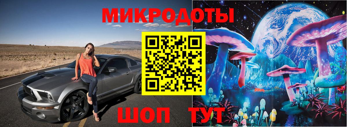 Меф Кострома