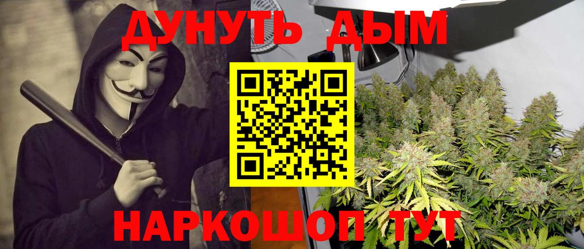 Кострома  Бошки марихуана марихуана  Марихуана тримм  Вход с VPN 